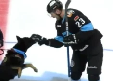 VIDEO: agresīvs suns okupantu līgas spēlē uzbrūk hokejistiem un izbojā propagandas komandu draudzību