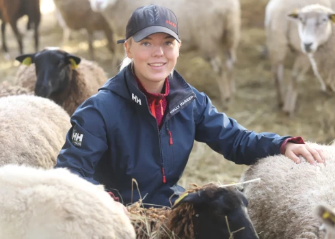 Viena no mīļākajām vietām Beatrisei ir aitu kūts.