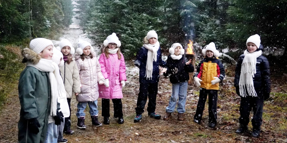 Сейм увеличивает детские пособия.