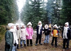 Сейм увеличивает выплаты семьям с детьми: что изменится с 2026 года