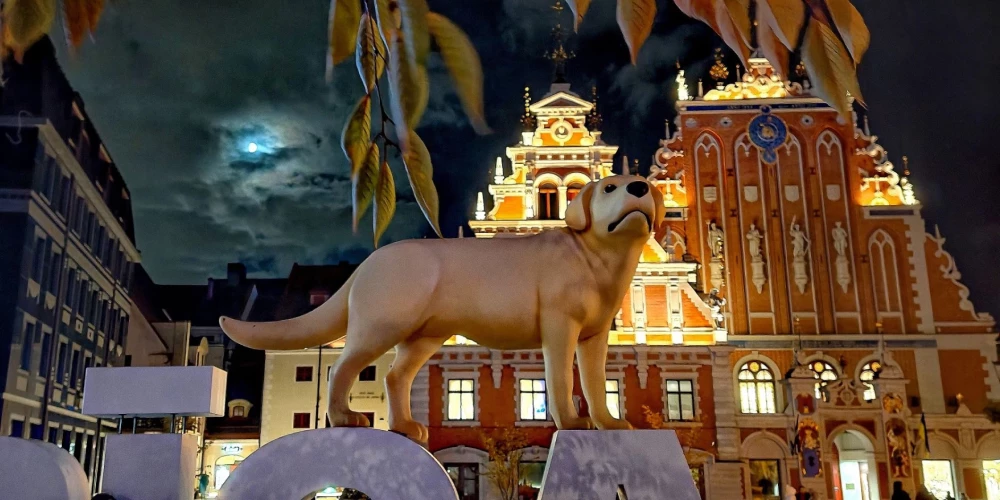 Рига выбирает место для героев "Потока".