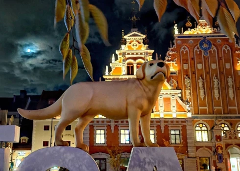 Рига выбирает место для героев "Потока".