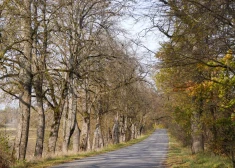 В воскресенье в Латвии местами потеплеет до +6 градусов