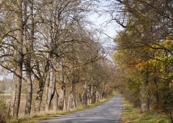 В воскресенье в Латвии местами потеплеет до +6 градусов