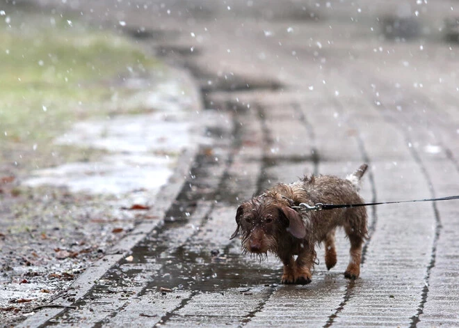 Svētdien daudzviet gaidāms slapjdraņķis