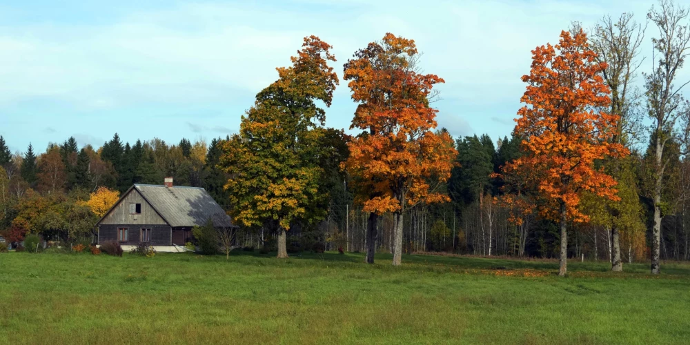 Kopumā tikai 10 % Rīgas un lielo pilsētu iedzīvotāji noteikti apsvērtu mājokļa iegādi laukos vai mazpilsētā, taču liels respondentu īpatsvars par to ir domājuši (20 %) vai to apsvērtu pie atbilstošiem darba vai dzīves apstākļiem (19 %).