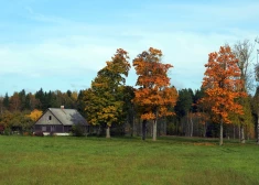 Vairāk nekā puse rīdzinieku apsvērtu iespēju pārcelties uz laukiem vai mazpilsētu