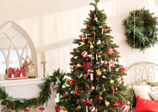 Праздничная елка по нумерологии: когда украшать, в какие цвета и куда поставить, чтобы сопутствовал успех
