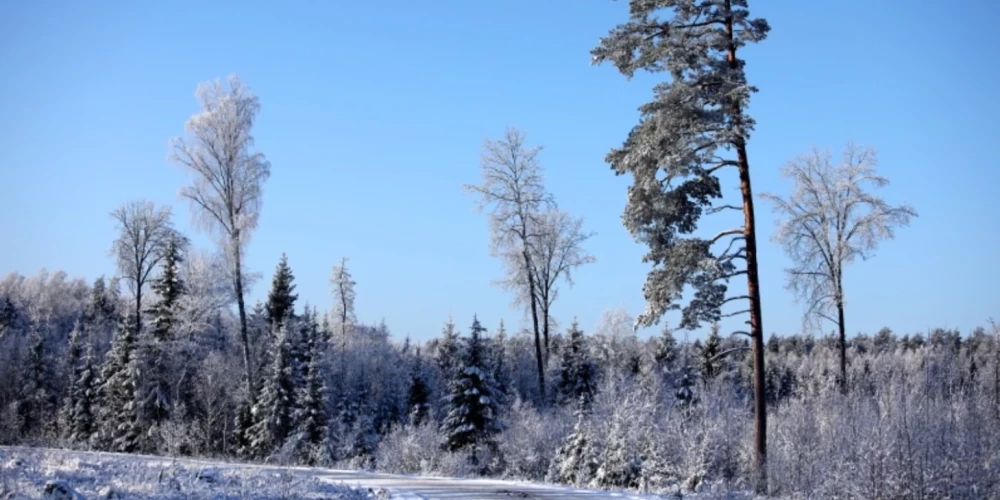 В воскресенье ожидается переменная облачность.