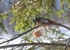 Снег, слякоть и скользкие дороги: чего ждать от погоды в понедельник