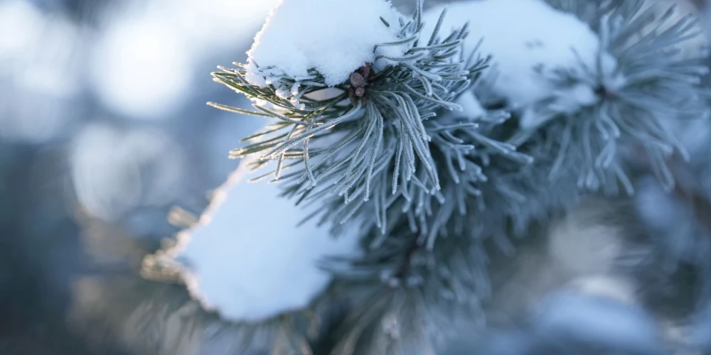 Jaunās nedēļa sākumā nokrišņi gaidāmi vien vietām.