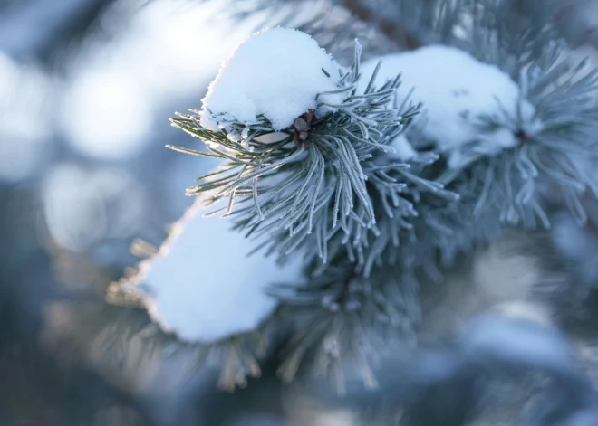 Nākamnedēļ vairākos reģionos varētu iestāties meteoroloģiskā ziema 