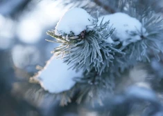 На новой неделе в регионах Латвии может наступить метеорологическая зима