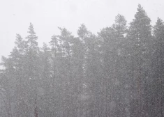 В первый день недели сильных осадков не ожидается