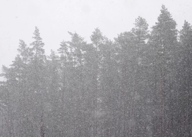 В первый день недели сильных осадков не ожидается