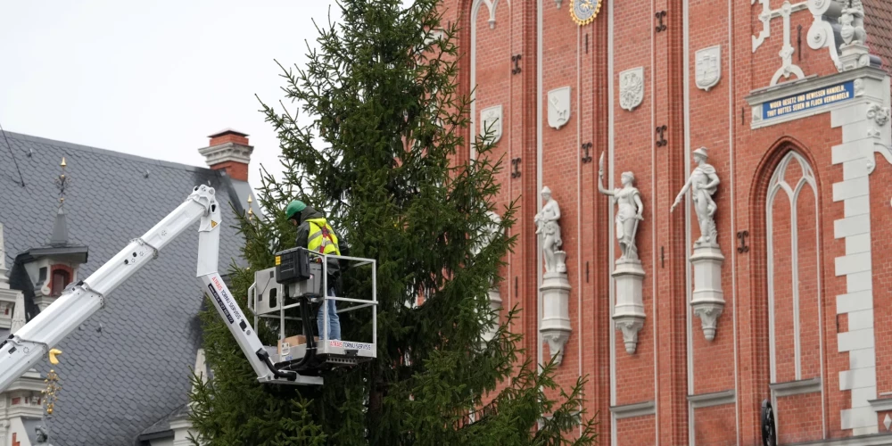 Городские ёлки на Ратушной и Домской площадях озарят начало праздников.