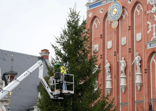 Рижан приглашают на зажжение главных елок столицы; впервые будет подсвечен и фасад Домского собора