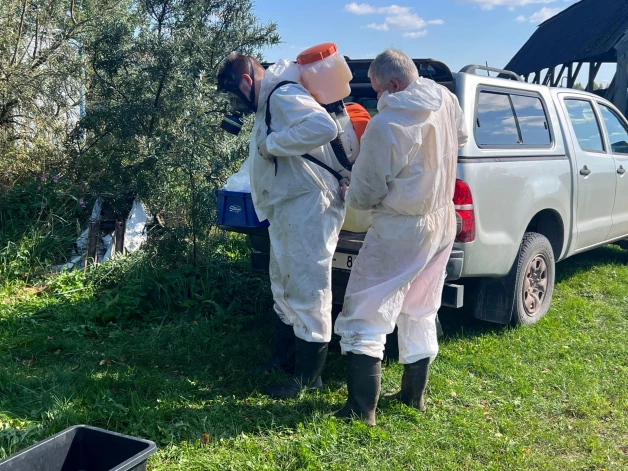 Strādājot slimību skartajās novietnēs, jāievēro maksimāli drošības noteikumi.
