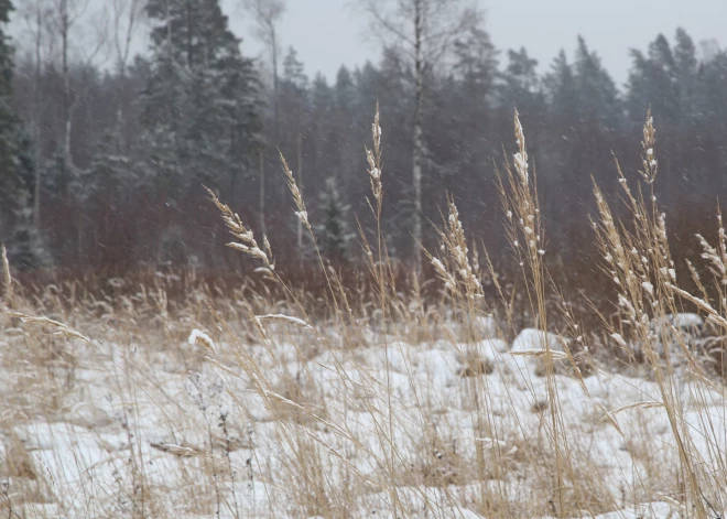 Во вторник не ожидается существенных осадков