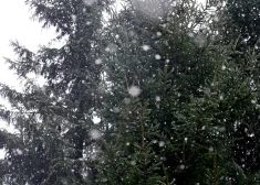 Trešdien Latgalē gaidāms sniegs