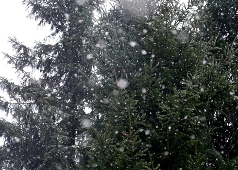 Trešdien Latgales dienvidos gaidāms sniegs. 