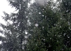 Синоптики: в среду в Латгале ожидается снег, в Риге - без осадков