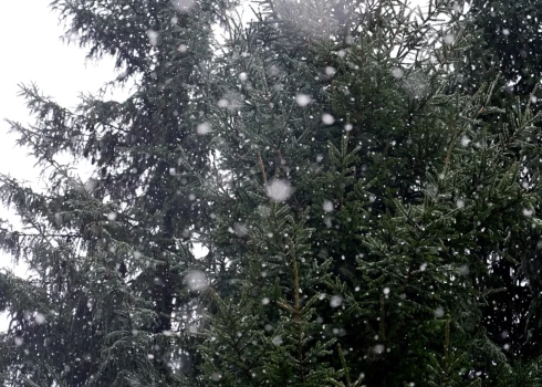 В среду на юге Латгале ожидается снег.