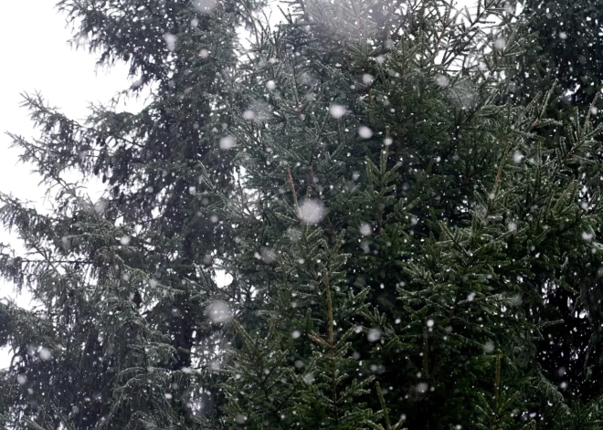 Синоптики: в среду в Латгале ожидается снег, в Риге - без осадков