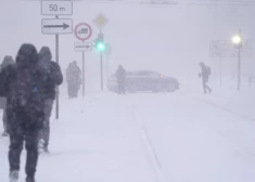 Синоптики предупреждают заранее: в четверг Латвию накроет снегопад