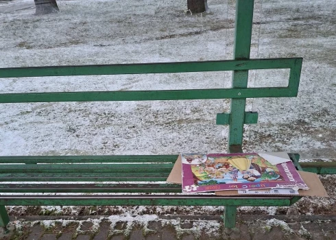 Vangažnieku diskusiju krustugunīs nonācis metāla soliņš autobusu galapunktā – uz tā varot piesalt un iedzīvoties pamatīgās veselības problēmās.