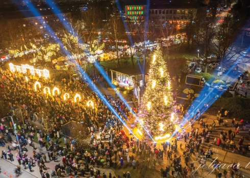 Jelgavas lielā Ziemassvētku egle būs 18 metrus augsta.