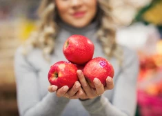 Kāpēc āboli ir vērtīgi un svarīgi?