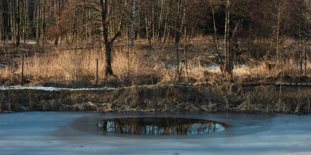 Иллюстративное фото.