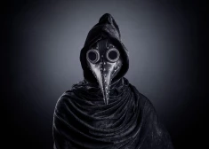 700 gadu mīts: zinātnieki atspēkojuši vispazīstamāko faktu par Melnās nāves izcelsmi