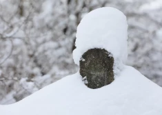 Ночью Латвию, в том числе Ригу, накроет снегопад: снежный покров местами вырастет до 9 см