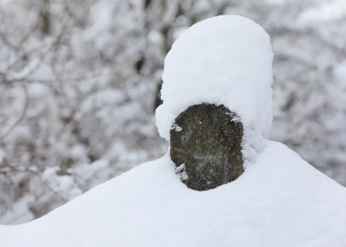Ригу засыплет снегом - за день снежный покров может вырасти на 3-4 сантиметра.
