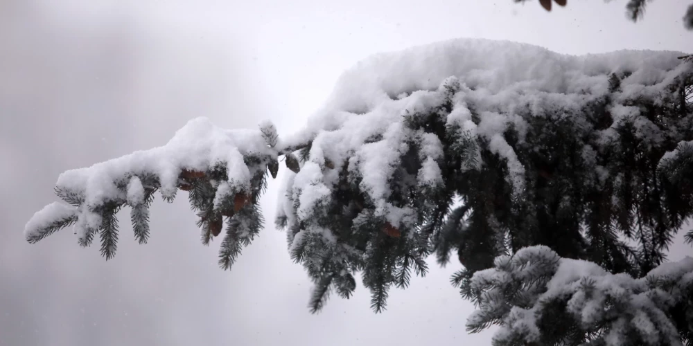 Ceturtdien Latvijā gaidāms sniegs un atkala. 