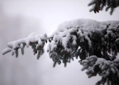 Ceturtdien Latvijā gaidāms sniegs un atkala