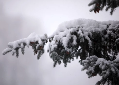 Ceturtdien Latvijā gaidāms sniegs un atkala. 