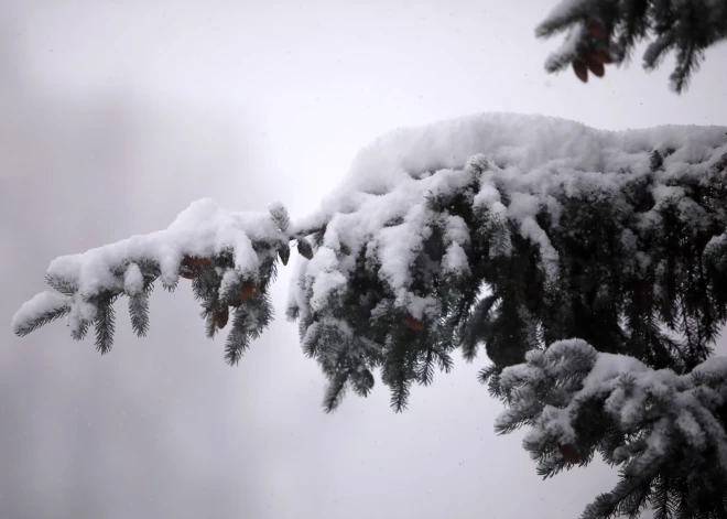 Ceturtdien Latvijā gaidāms sniegs un atkala