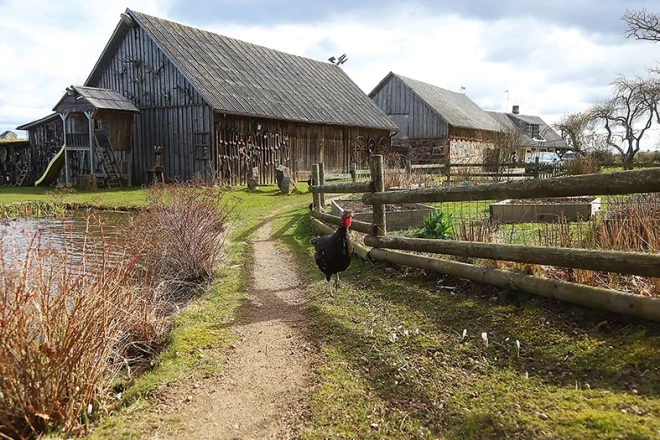 Signes Ezeriņas mājas.