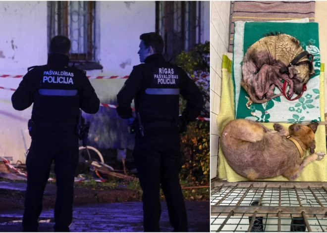 Suns no sāpēm nespēja pat paēst - dzīvnieku aizstāvji sašutuši par policistu rīcību: "Kas atbildēs par suņu mocīšanu?”