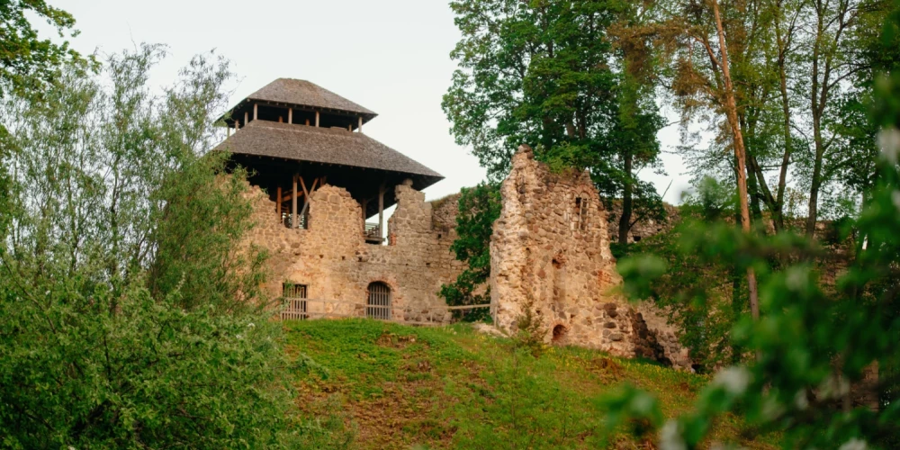 Raunas pils mūri (foto: Smiltenes novada pašvaldība)