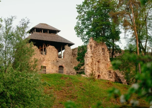 Raunas pils mūri (foto: Smiltenes novada pašvaldība)