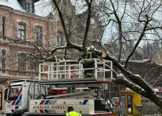 Rīgā nolūzis koks aptur tramvaju kustību; traucēti vairāki maršruti. VIDEO
