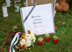 Bauskas novada pašvaldība turpina saņemt iedzīvotāju iesniegumus saistībā ar suņu nošaušanu Brunavas pagastā