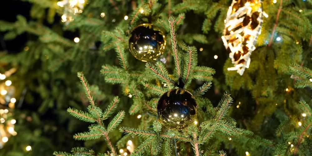 Ilustratīvs attēls.