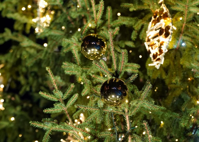 Tukuma novada iedzīvotājus aicina rotāt savus balkonus, privātmājas un uzņēmumus