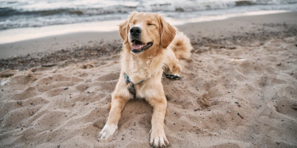 Иллюстративное фото.