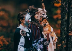 TDA “Rotaļa” aicina uz Ziemassvētku ieskaņas labdarības koncertu